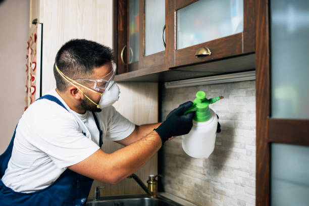 Best Pest Control for Homes  in Luxemburg, WI