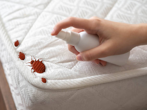 Pest Control Cost in Luxemburg, WI